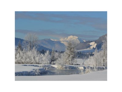 Apartment Apartm."2"/1 Schlafraum/DU,WC,TV,Balkon - Outdoor photo 31