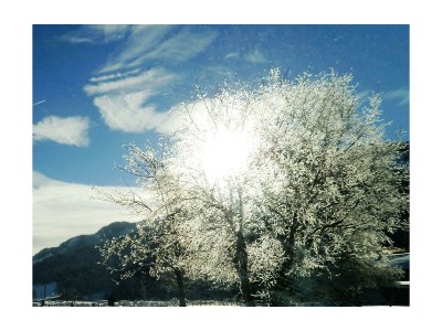 Apartment Apartm."2"/1 Schlafraum/DU,WC,TV,Balkon - Outdoor photo 32