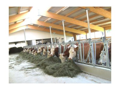 Apartment App. "4"- 3 Schlafzimmer/2. OG - Outdoor photo 3