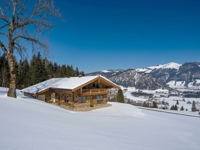 Apartment Panorama Lodge in Walchsee - Outdoor photo 10