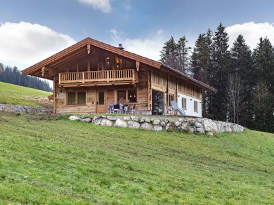 Apartment Panorama Lodge in Walchsee - Outdoor photo 11