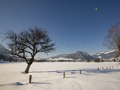 Apartment Panorama Lodge in Walchsee - Outdoor photo 15