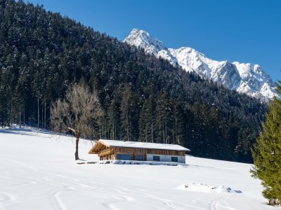 Apartment Panorama Lodge in Walchsee - Outdoor photo 20