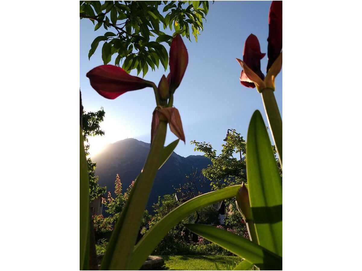 Holiday apartment lodge Mamma  Maria - Outdoor photo 3