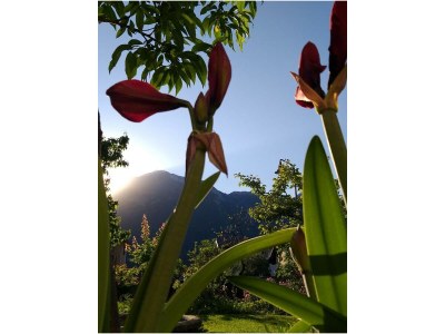 Holiday apartment lodge Mamma  Maria - Outdoor photo 3