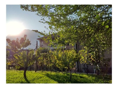 Holiday apartment lodge Mamma  Maria - Outdoor photo 4