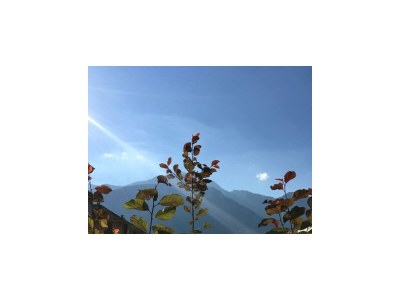 Holiday apartment lodge Mamma  Maria - Outdoor photo 7