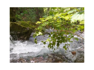 Holiday apartment lodge Mamma  Maria - Environment photo 16