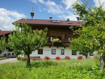 Holiday apartment Oberkrenmoos - Farmhouse - Outdoor photo 2