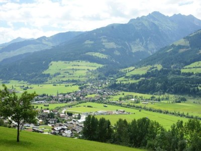 Holiday apartment Oberkrenmoos - Farmhouse - Environment photo 12