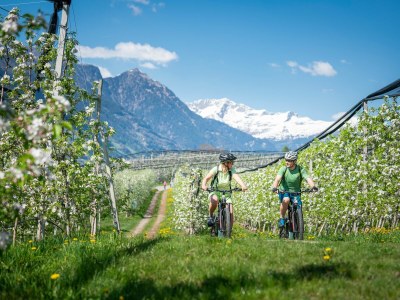 Holiday apartment Residence Maritschhof - Environment photo 24