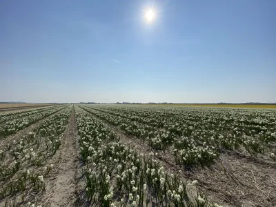 Villa Beach House Ooghduyne - Environment photo 28