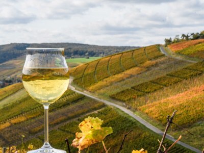 Apartment Ahrterrassen II - Environment photo 11