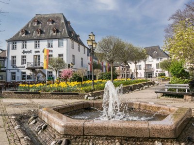 Apartment Ahrterrassen II - Environment photo 13