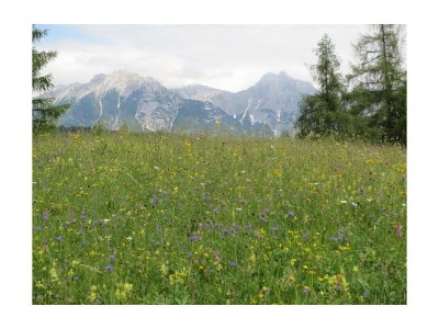 Apartment Ferienhaus, 4 Schlafzimmer, 4 Bäder, Küche - Outdoor photo 18