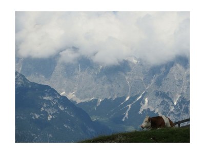 Apartment Ferienhaus, 4 Schlafzimmer, 4 Bäder, Küche - Outdoor photo 31
