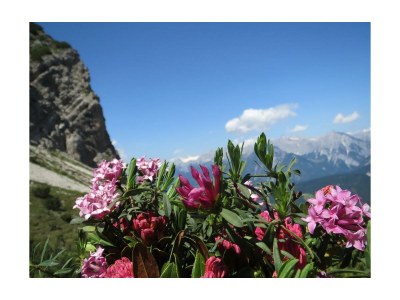 Apartment Ferienhaus, 4 Schlafzimmer, 4 Bäder, Küche - Outdoor photo 33