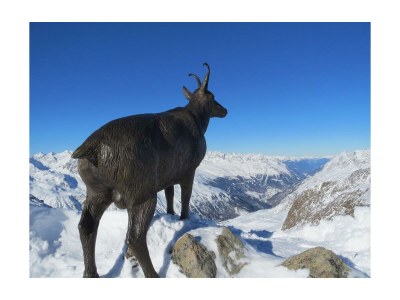 Apartment Ferienhaus, 4 Schlafzimmer, 4 Bäder, Küche - Outdoor photo 34