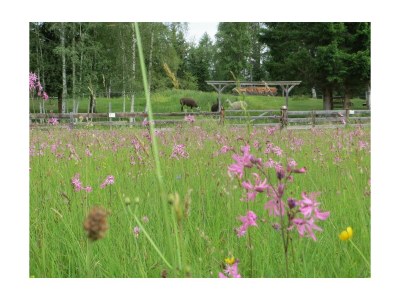 Apartment Ferienhaus, 4 Schlafzimmer, 4 Bäder, Küche - Outdoor photo 43