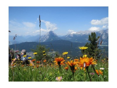 Apartment Ferienhaus, 4 Schlafzimmer, 4 Bäder, Küche - Outdoor photo 48