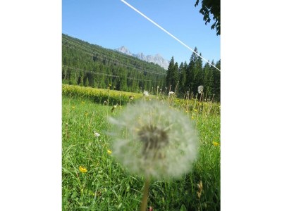 Apartment Ferienhaus, 4 Schlafzimmer, 4 Bäder, Küche - Outdoor photo 55