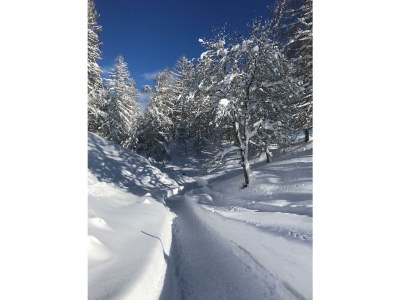 Apartment Mein Chalet - Outdoor photo 17