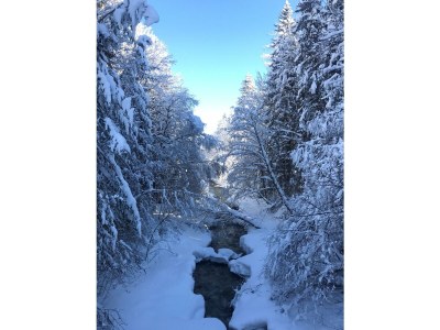 Apartment Mein Chalet - Outdoor photo 18