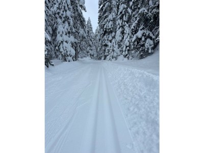 Apartment Mein Chalet - Outdoor photo 22