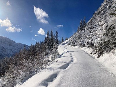 Apartment Mein Chalet - Outdoor photo 25