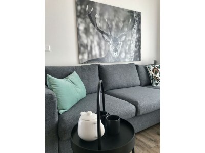 Apartment Mein Chalet - Features photo 40