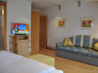 Apartment Studio-Appartement, Bad, WC, 1 Schlafraum - Features photo 14