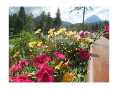 Apartment 3-Raum-Appartement - Outdoor photo 41