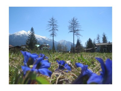 Apartment 3-Raum-Appartement - Outdoor photo 47