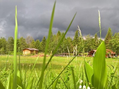 Apartment 3-Raum-Appartement - Outdoor photo 66