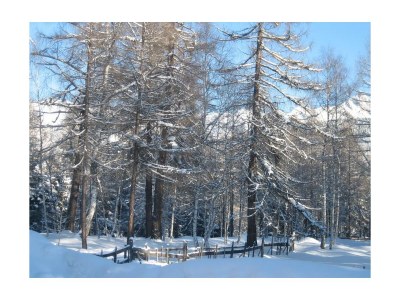 Apartment 4-Raum-Appartement - Outdoor photo 18