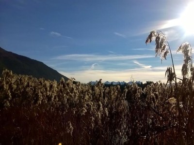 Apartment 4-Raum-Appartement - Outdoor photo 34