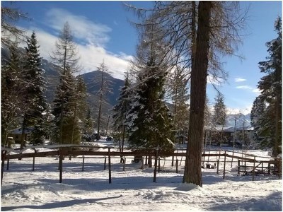 Apartment 4-Raum-Appartement - Outdoor photo 35