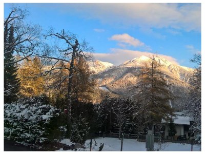 Apartment 4-Raum-Appartement - Outdoor photo 39