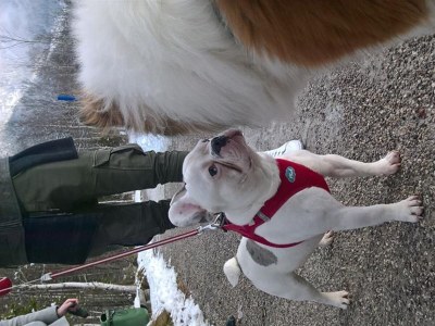 Apartment 4-Raum-Appartement - Outdoor photo 41