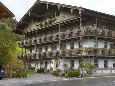 Apartment Appartement/Fewo, Dusche, WC, Balkon in Pertisau am Achensee - Apartment