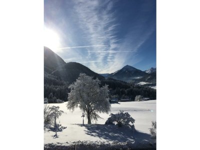 Apartment Ferienwohnung Jasmin - Outdoor photo 10