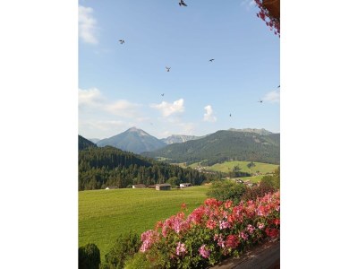 Apartment Ferienwohnung Jasmin - Outdoor photo 13