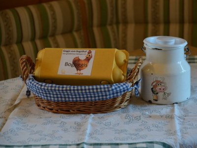 Apartment Ferienwohnung Jasmin - Features photo 18