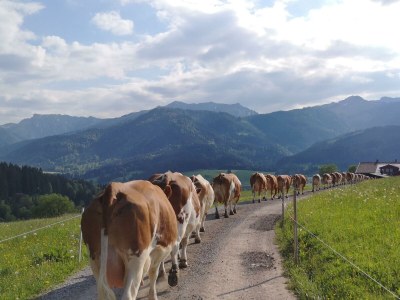 Apartment Ferienwohnung Anemone - Outdoor photo 4