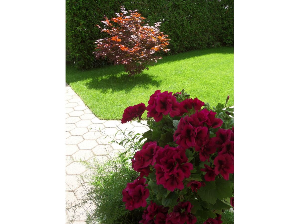 Apartment Appartement Größe L1 - Outdoor photo 4