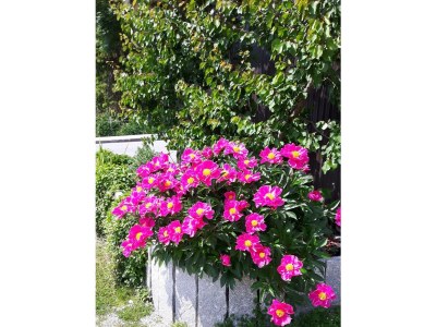 Apartment Appartement Größe L1 - Outdoor photo 11