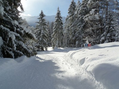 Apartment Appartement Größe L1 - Outdoor photo 35