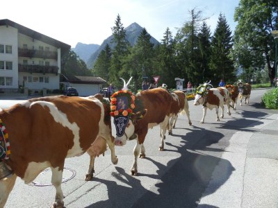 Apartment Appartement Größe L1 - Outdoor photo 56