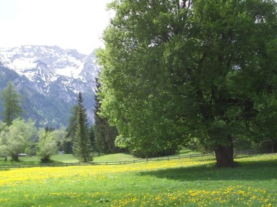 Apartment Appartement Größe M1 - Outdoor photo 14