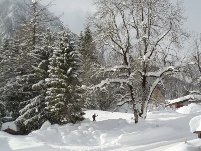 Apartment Appartement Größe M1 - Outdoor photo 31